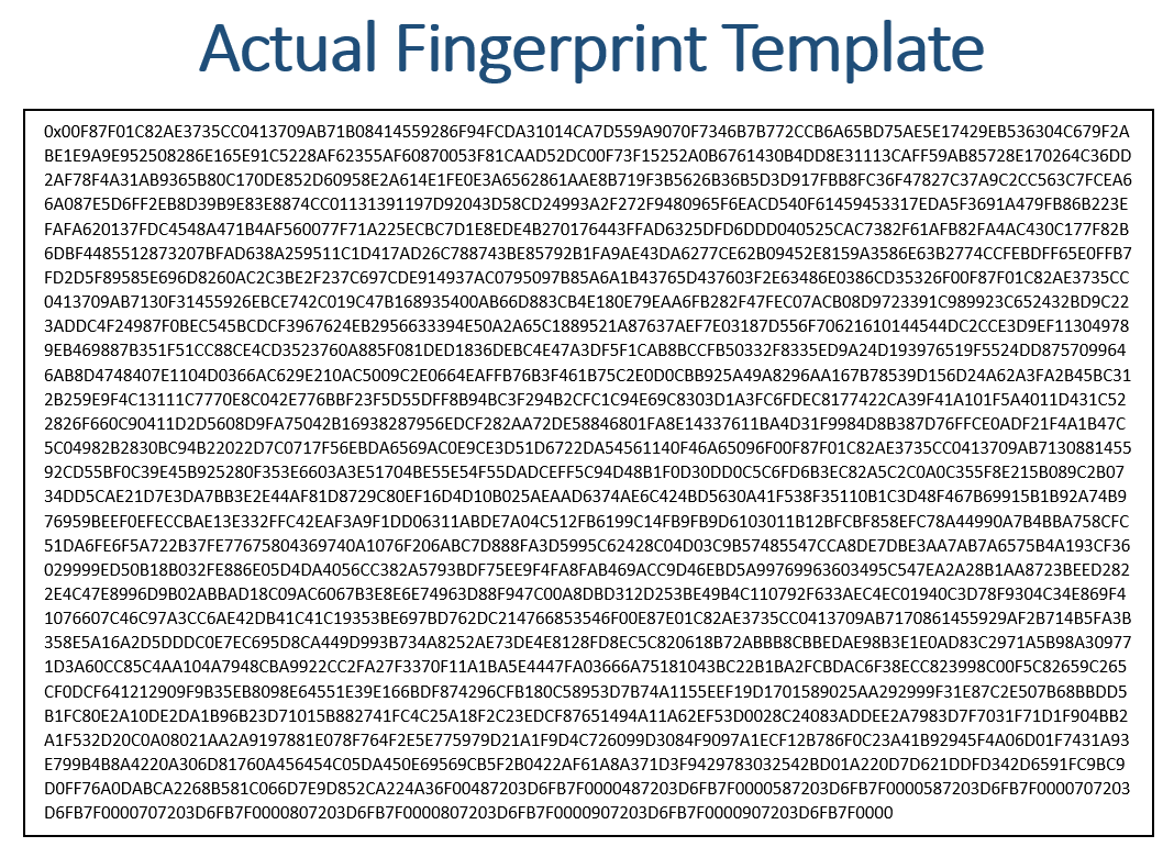 Actual Fingerprint Template