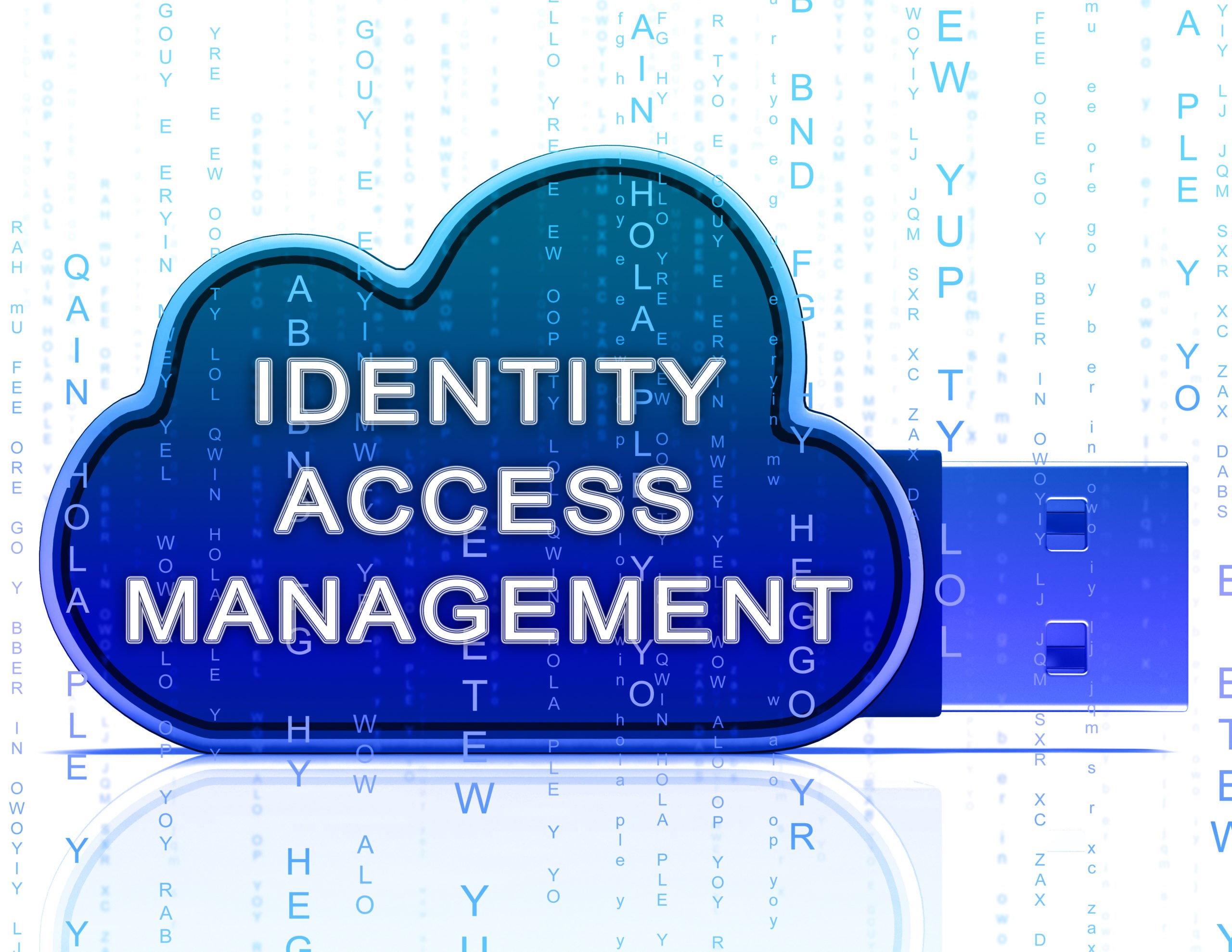 Identity access & management tools for enterprise.