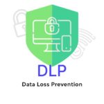 60757c372a2abacb1d83d9aa_what is dlp