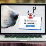 dog-smelling-password_3
