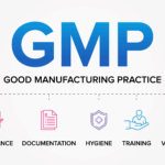GMP Image [Converted]
